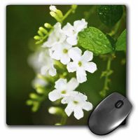 3dRose LLC 8 x 8 x 0.25 Inches Colorful Flowers Mouse Pad (mp_10415_1)