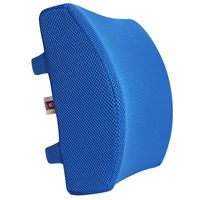 LoveHome Memory Foam Lumbar Support Back Cushion with 3D Mesh Cover Balanced Firmness Designed for Lower Back Pain Relief- Ideal Back Pillow for Computer/Office Chair, Car Seat, Recliner etc. (Azure)