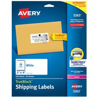 Avery Shipping Address Labels, Laser Printers, 250 Labels, 2x4 Labels, Permanent Adhesive, TrueBlock (5263)