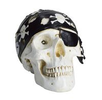 HOMESHINE Halloween Decor Wireless Life Size Pirate Skull Bluetooth Speaker with Night Light