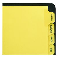 Avery Preprinted Dividers with JAN-DEC Tabs, 1 Set (11307)