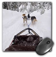 3dRose LLC 8 x 8 x 0.25 Inches Mouse Pad, British Columbia, Whistler, Dog Sled Adventure-Cn02 Tdr0076 - Trish Drury (mp_71534_1)