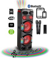 Portable Bluetooth Wireless Karaoke Speaker with Two Wireless Microphones, AUX, USB, SD, FM IDOLmain IPS-DJ05