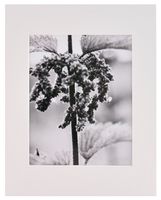 Nielsen Bainbridge PRE-Cut Center 11"X14" ARTCARE White MAT with 8"X10" Opening