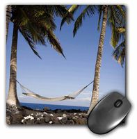 3dRose LLC 8 x 8 x 0.25 Inches Hawaii Kona Village Hammock Between Two Palm Trees Rob Casey Mouse Pad (mp_89864_1)