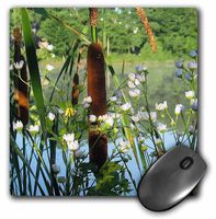 3dRose LLC 8 x 8 x 0.25 Inches Mouse Pad, Cattails on A Foggy Lake (mp_158217_1)