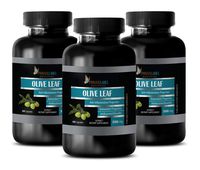 Immune Booster Natural Vitamins - Olive Leaf Extract 500MG - Dietary Supplements - Brain Booster - 3 Bottles (180 Capsules)