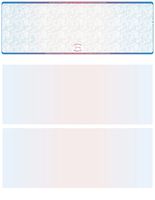 Blank High Security Top Computer Checks, 250 Blue/Red Checks