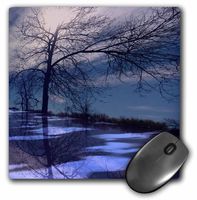 3dRose LLC 8 x 8 x 0.25 Inches Mouse Pad, Blue Tree 3D (mp_12292_1)
