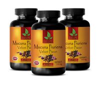 Mood and Stress Supplement - MUCUNA PRURIENS Extract 350 MG - Velvet Beans - Digestion Supplements Men - 3 Bottles 180 Capsules
