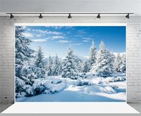 Leyiyi 8x6ft Photography Background Snow Covered Mountain Backdrop Cold Winter Pine Forest Sunlight Merry Christmas Happy New Year Alps Blue Sky Cloud Photo Portrait Vinyl Studio Video Prop