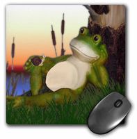 3dRose LLC 8 X 8 X 0.25 Inches The Frog and The Snail Mouse Pad (mp_27399_1)