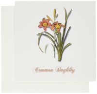3dRose Set of 12 Greeting Cards, Botanical Print of a Rust and Yellow Flowering Lily (gc_171192_2)