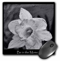 3Drose LLC 8 X 8 X 0.25 Inches Mouse Pad, an Inspirational Quote (Mp_110110_1)