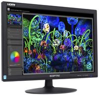 Sceptre 24" 75Hz Full HD 1080P LED Monitor HDMI VGA Build in Speakers, Brushed Black 2019 (E248W-19203S)