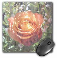 3dRose LLC 8 x 8 x 0.25 Inches Mouse Pad, Pretty Peach Rose Floral Flowers (mp_29254_1)