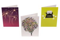 Avanti Press Greeting Card Collection 6-Count, Thank You (32014)