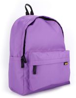 QIPS by HMI 21 ltrs 16 Inch Classic Laptop Backpack with YKK Zippers (Purple)