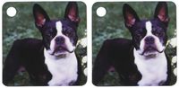 3dRose Boston Terrier Duke - Key Chains, 2.25 x 4.5 inches, set of 2 (kc_3111_1)