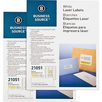 Business Source Rectangle Dissolvable Labels, White (BSN21051CT)