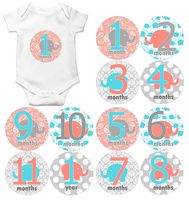 Gift Set of 12 Round Keepsake Photography Monthly Baby Stickers with Coral and Aqua Elephants MOSG002