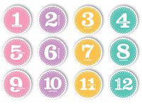 Tiny Ideas First Year Monthly Milestone Photo Sharing Baby Belly Stickers, 1-12 Months, Pink