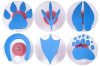 Center Enterprises Inc. Ready2Learn Giant Stampers, Paw Prints, 6/Set