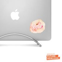 Watercolor Peony - Peach 02-3 Inch Wide Printed Decal - For Macbook, Laptops, Tablets And More!