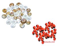 Indianstore4All Set of 100 Pcs Gomti Chakra 18-20 mm Approx & Free 51 Natural Red Gunja Red Chirmi