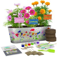 Dan&Darci Paint & Plant Flower Growing Kit - Grow Cosmos, Zinnia, Marigold Flowers : Includes Everything Needed to Paint & Grow - Great Gardening Science Gifts for Girls and Boys Ages 6 7 8 9 10