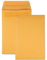 Quality Park Large Format/Catalog Envelopes, Redi-Seal, 6.5 x 9.5, Box of 250 (QUA43362)