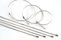 50-Pack Heavy Duty 12 Inches (115lbs) Stainless Steel Exhaust Locking Zip Cable Ties