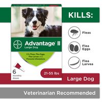 Flea and Lice Treatment for Dogs, 21-55 lb, 6 doses, Advantage II