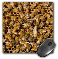 Bee keeping at Arlos Honey Farm, Kelowna, British Columbia, Canada. - Mouse Pad, 8 by 8 inches (mp_206486_1)