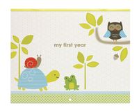 C.R. Gibson Woodland Animals First Year Baby Calendar for Newborns Memory Book with Stickers, 11'' L x 18'' H
