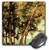 3dRose LLC 8 x 8 x 0.25 Inches Pines On The River Mouse Pad (mp_11037_1)