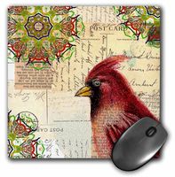 3dRose LLC 8 x 8 x 0.25 Inches Postcards and Cardinal Mouse Pad (mp_6407_1)