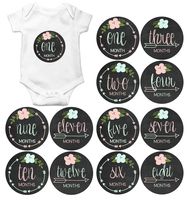 Gift Set of 12 Round Keepsake Photography Monthly Baby Stickers with Tribal Arrows on Chalkboard MOSG165