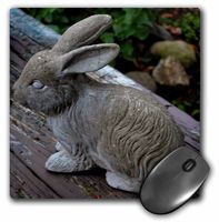 3dRose LLC 8 x 8 x 0.25 Inches Mouse Pad, A Beautiful Gray and Blue Ceramic Bird House (mp_165305_1)