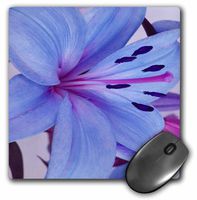 3dRose LLC 8 x 8 x 0.25 Inches Mouse Pad, Delicate Blue Oriental Lily (mp_29195_1)
