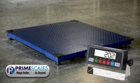 Floor Scale/Heavy Duty Platform 48X48",10,000LBX1 LB,Digital Indicator,Brand New