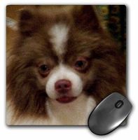 3drose Chocolate Party Pomeranian Oil Painting - Mouse Pad