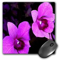 3dRose LLC 8 x 8 x 0.25 Inches Mouse Pad, Orchids (mp_3553_1)