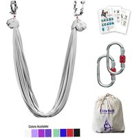 Aerial Yoga Hammock 5.5 Yards Premium Aerial Silk Fabric Yoga Swing for Antigravity Yoga Inversion Include Daisy Chain,Carabiner and Pose Guide (Sliver)