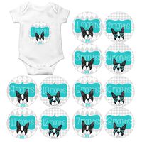 Gift Set of 12 Round Monthly Baby Stickers with Boston Terriers Faces Dogs Puppy Puppies in Aqua and Gray MOSB9005