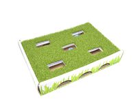 Grass Patch Hunting and Play Box Cat Ball Toy by Petstages
