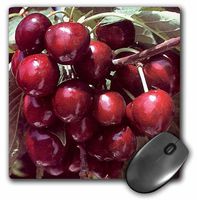 3dRose LLC 8 x 8 x 0.25 Inches Cherry Mouse Pad (mp_4228_1)