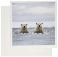 3dRose Artic Polar Bear Cubs in Slushy Waters 6 x 6 Inches Greeting Cards, Set of 6 (gc_191969_1)