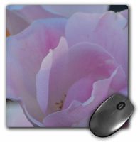 3dRose LLC 8 x 8 x 0.25 Inches Mouse Pad, Angel Petals Pink Rose Flowers Flower Photography (mp_31377_1)