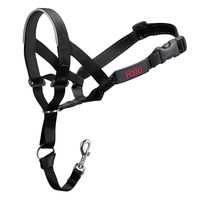 Halti Head Collar, Head Halter Collar for Dogs, Head Collar to Stop Pulling for Medium Dogs
